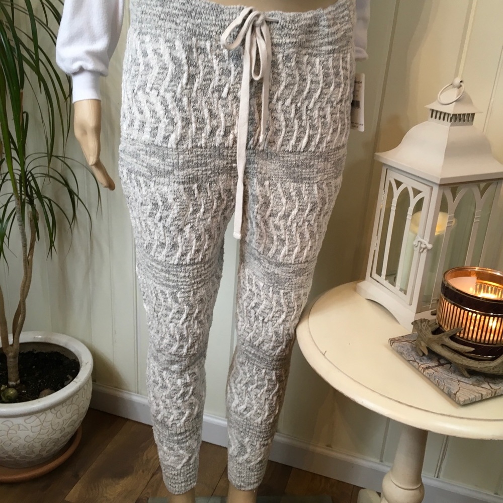 NWT FREE PEOPLE “ROAD TRIP JOGGERS” - Picture 1 of 8